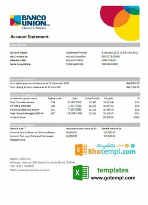 Bolivia Banco Union bank statement easy to fill template in Excel and PDF format (AutoSum)
