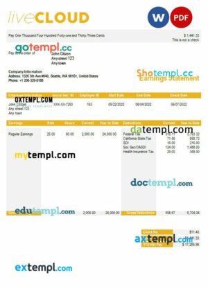 cloud storage paystub example in Word and PDf formats