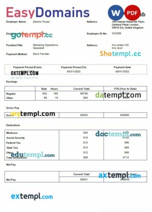 domain name registration company payslip example in Word and PDf formats
