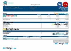 information technology company paystub example in Word and PDF formats