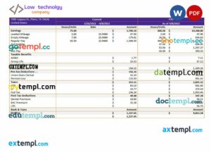 low technology company paystub example in Word and PDF formats