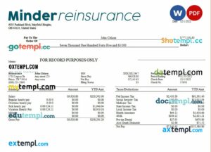 reinsurance company payroll example in Word and PDF formats