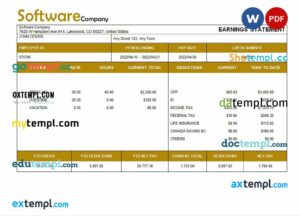 software company paystub example in Word and PDF formats