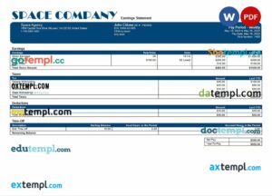 space company editable payslip example in Word and PDF formats