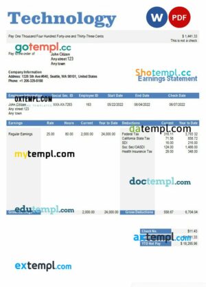 technology company paystub example in Word and PDF formats