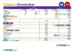 tobacco company earning statement example in Word and PDF formats
