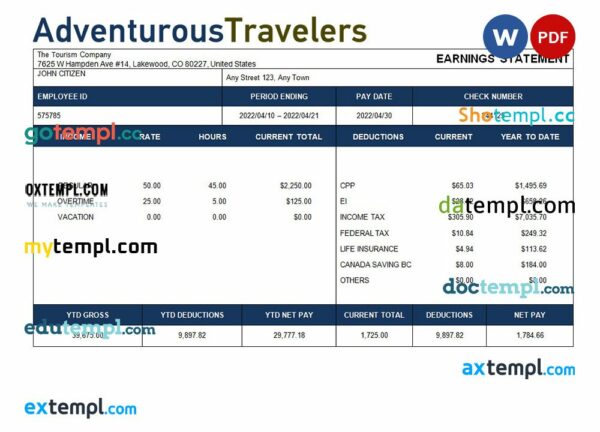 tourism company paystub example in Word and PDF formats