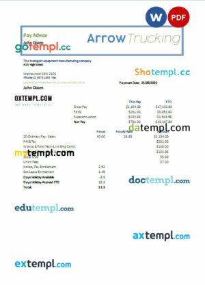 transport equipment manufacturing company earning statement in Word and PDF formats