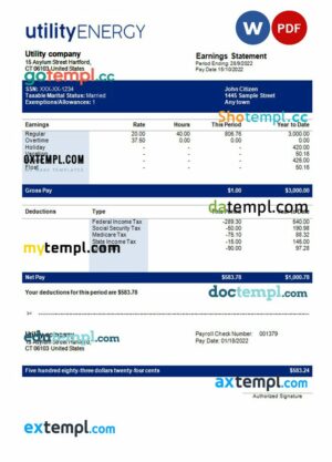 utility company payslip example in Word and PDF formats