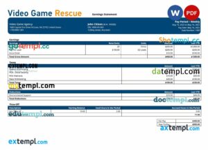 video game company paystub example in Word and PDF formats