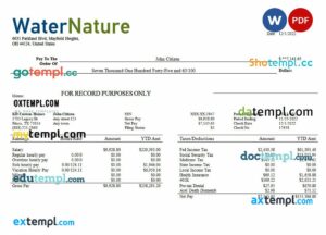 water company editable earning statement example in Word and PDF formats