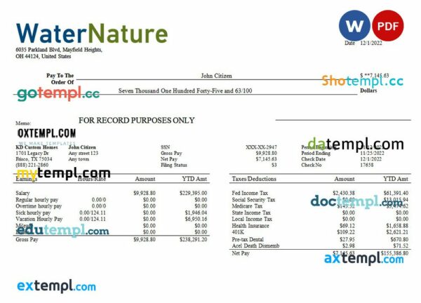 water company editable earning statement example in Word and PDF formats