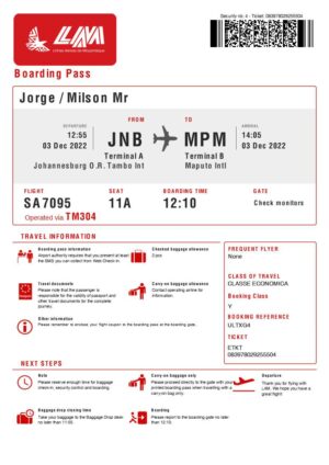 Liava boarding pass in Word and PDF formats