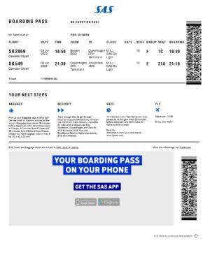 SAS boarding pass in Word and PDF formats
