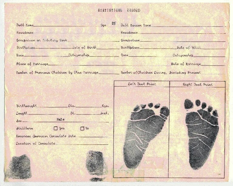 Certificate of birth statystical record template in PSD format