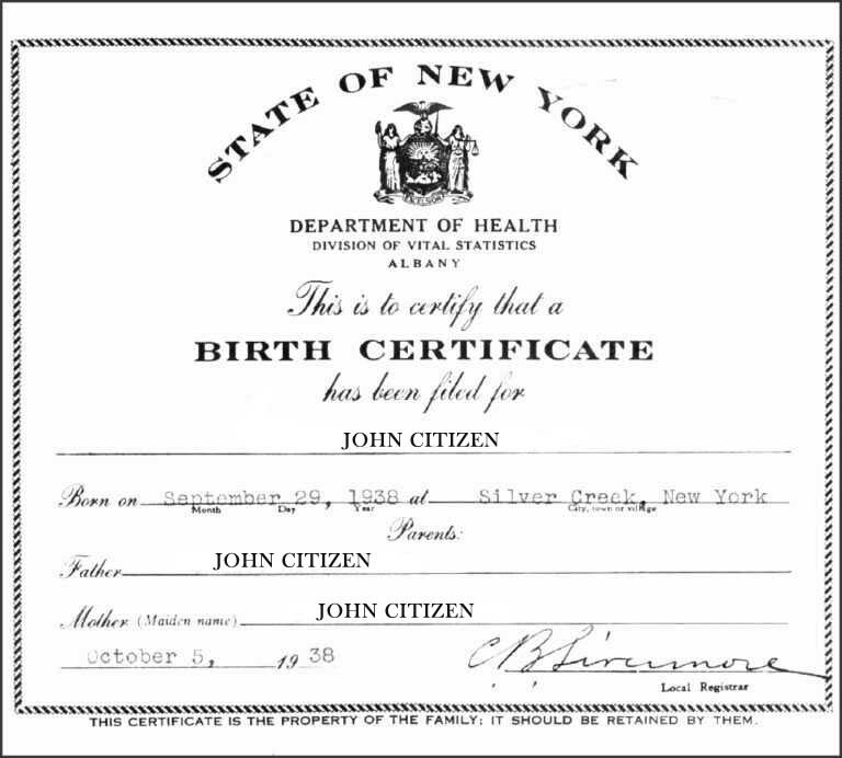 New York Department of Health Division of Vital Statistics birth certificate template in PSD format