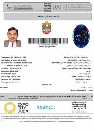 UAE e-visa template in Word and PDF formats, version 2