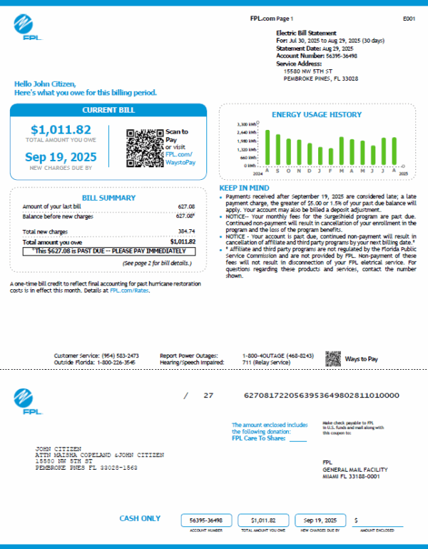 USA FPL utility bill template in Word and PDF formats, version 4