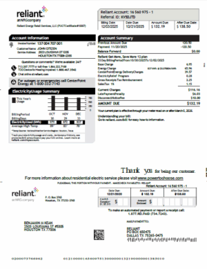 USA Reliant Energy utility bill template in Word and PDF formats, version 2