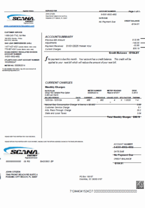 USA SCANA Energy utility bill template in Word and PDF formats