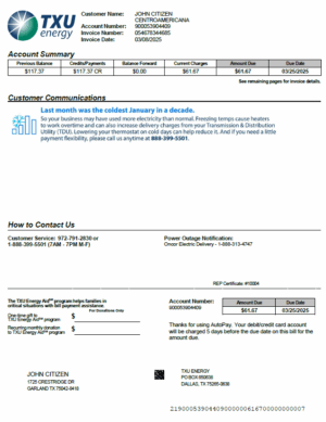 USA TXU Energy utility bill template in Word and PDF formats, version 4