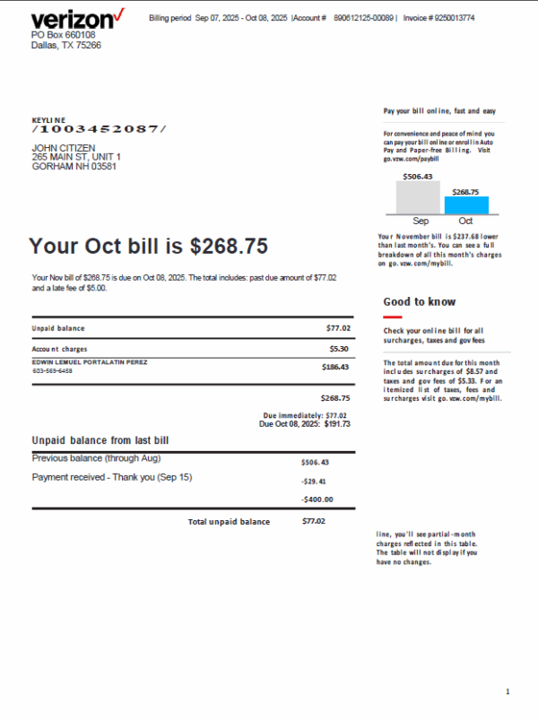 USA Verizon utility bill template in Word and PDF formats, version 3