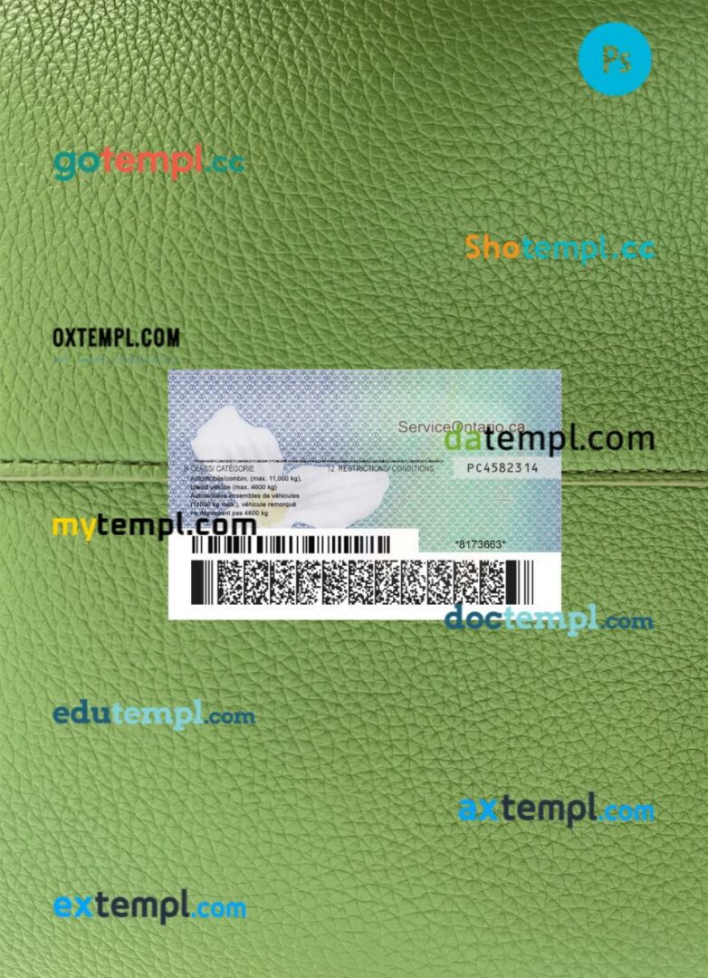Canada Ontario DL PSD files, scan look and photographed image, 2 in 1, (2018 – present), version 2 - Image 2