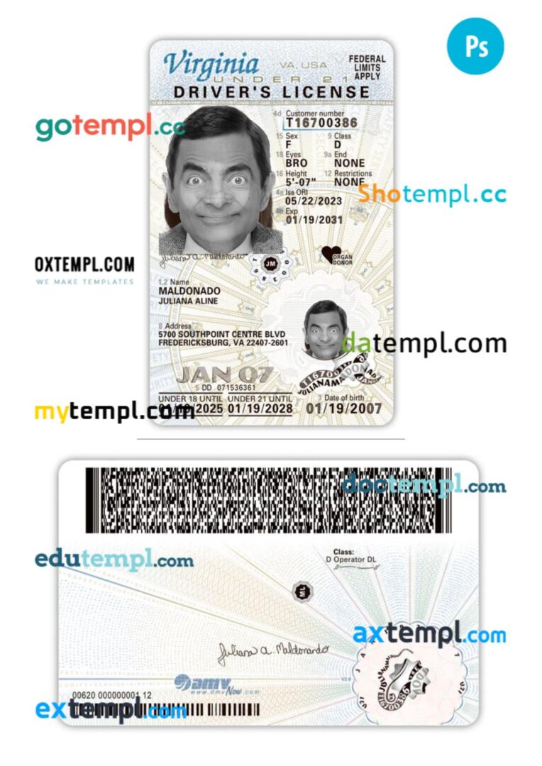USA Virginia under 21 driving license PSD editable template, 2025-present